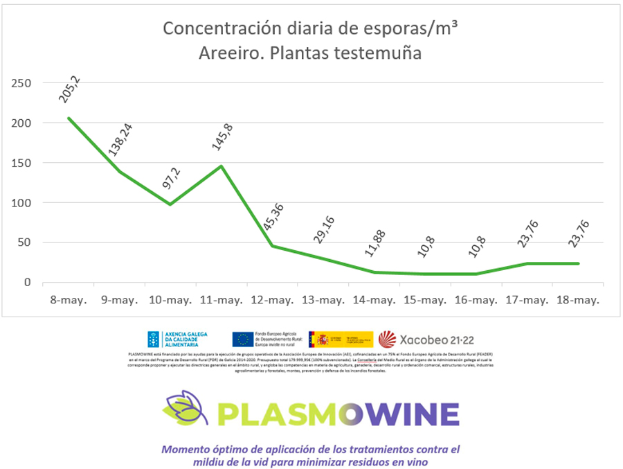 Concentración diaria de esporanxios