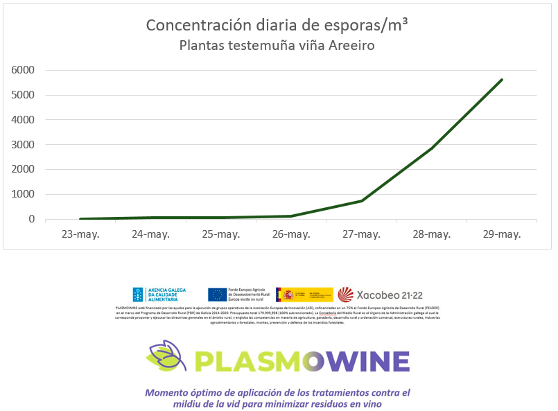 Concentración diaria de esporanxios Concentración diaria de esporanxios