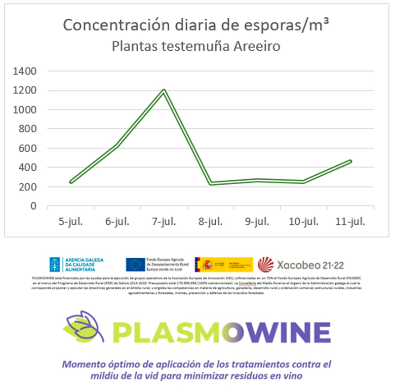 Concentración diaria de esporanxios