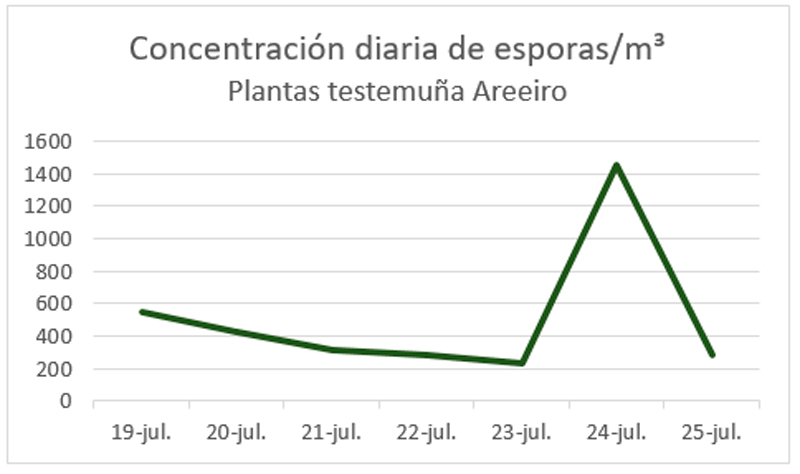 Concentración diaria de esporanxios Concentración diaria de esporanxios