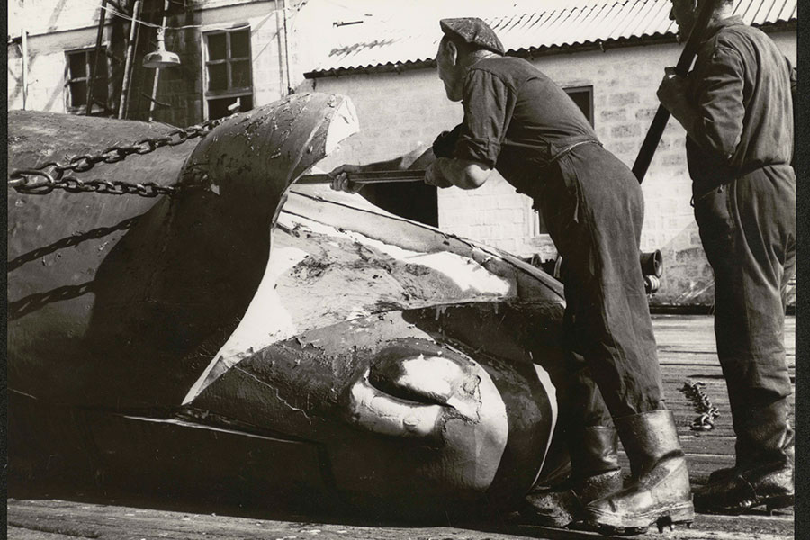 Despezamento dun cachalote. Javier Fernández, Albatros. 1973