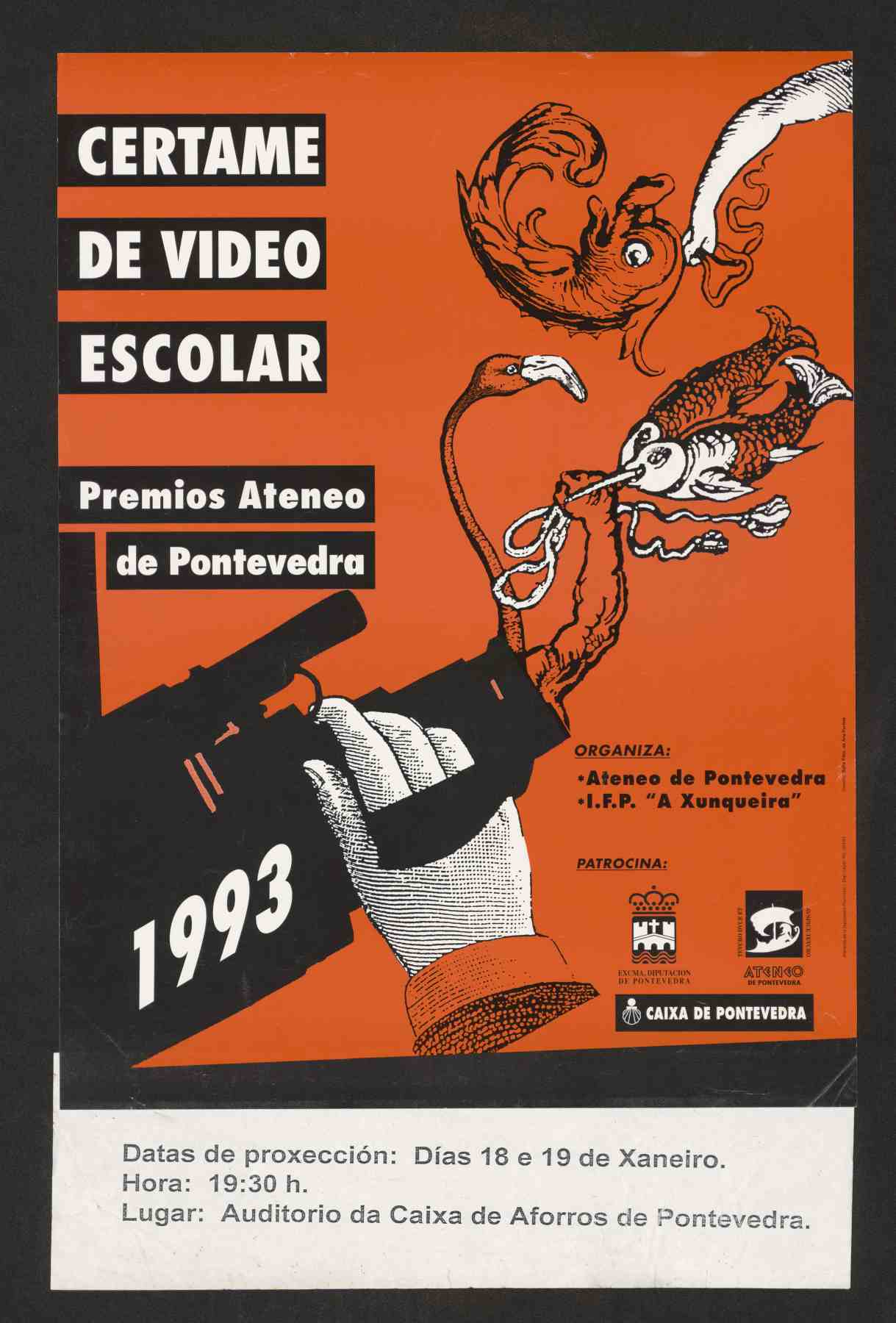 Certame de video escolar do Ateneo de Pontevedra, 1993