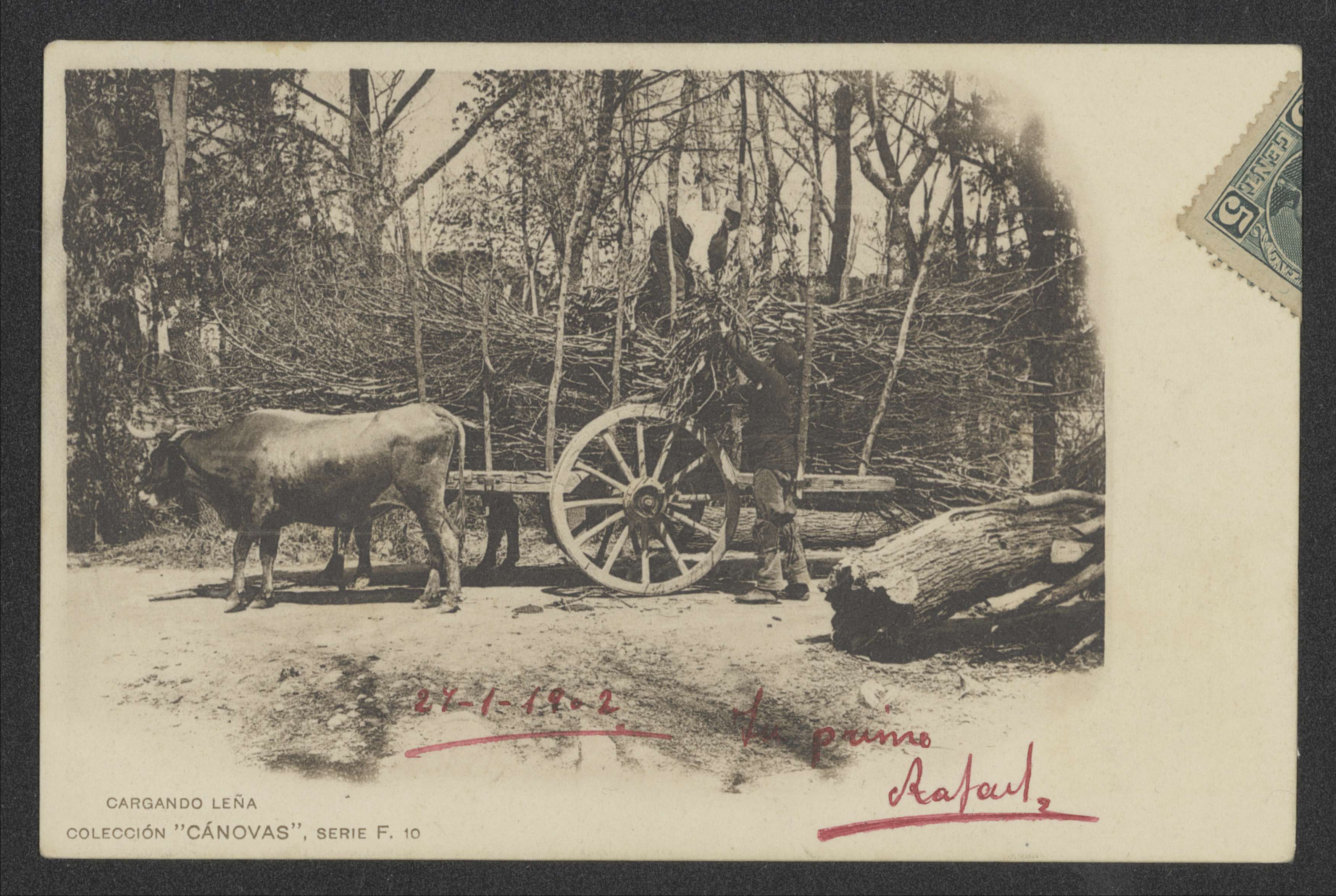 Cargando leña, ca. 1902