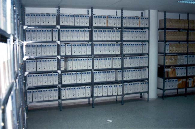 Resultado final do primeiro proceso de organización(1993)