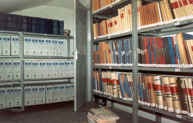 Resultado do primeiro proceso de organización (1991)