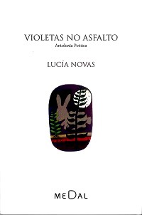 Violetas no asfalto