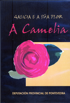 Galicia e a súa flor. A camelia
