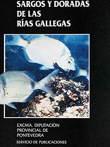 Sargos y doradas de las Rías gallegas